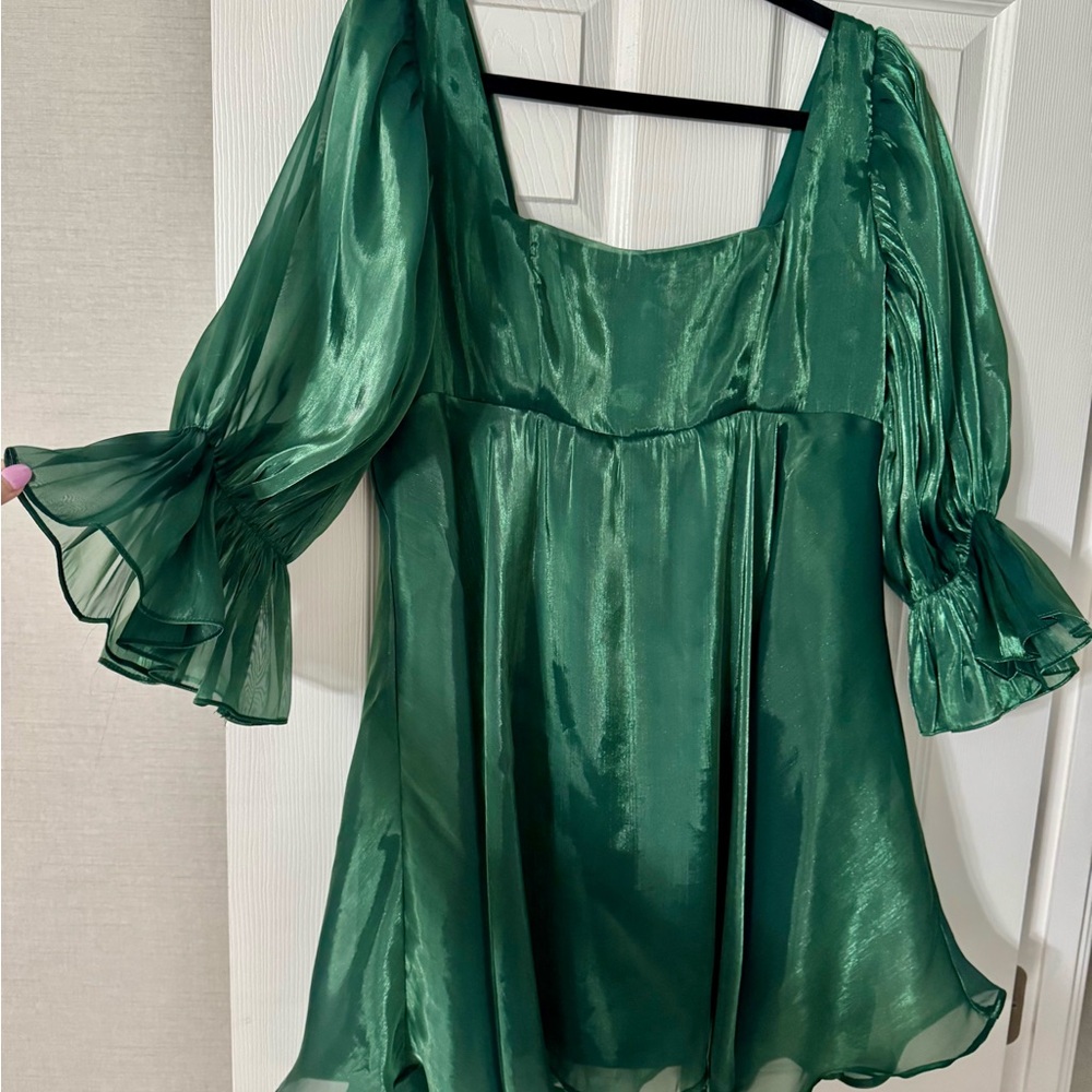 Buddy Love Green Sheer Dress with Fun Puff Sleeves
* worn once